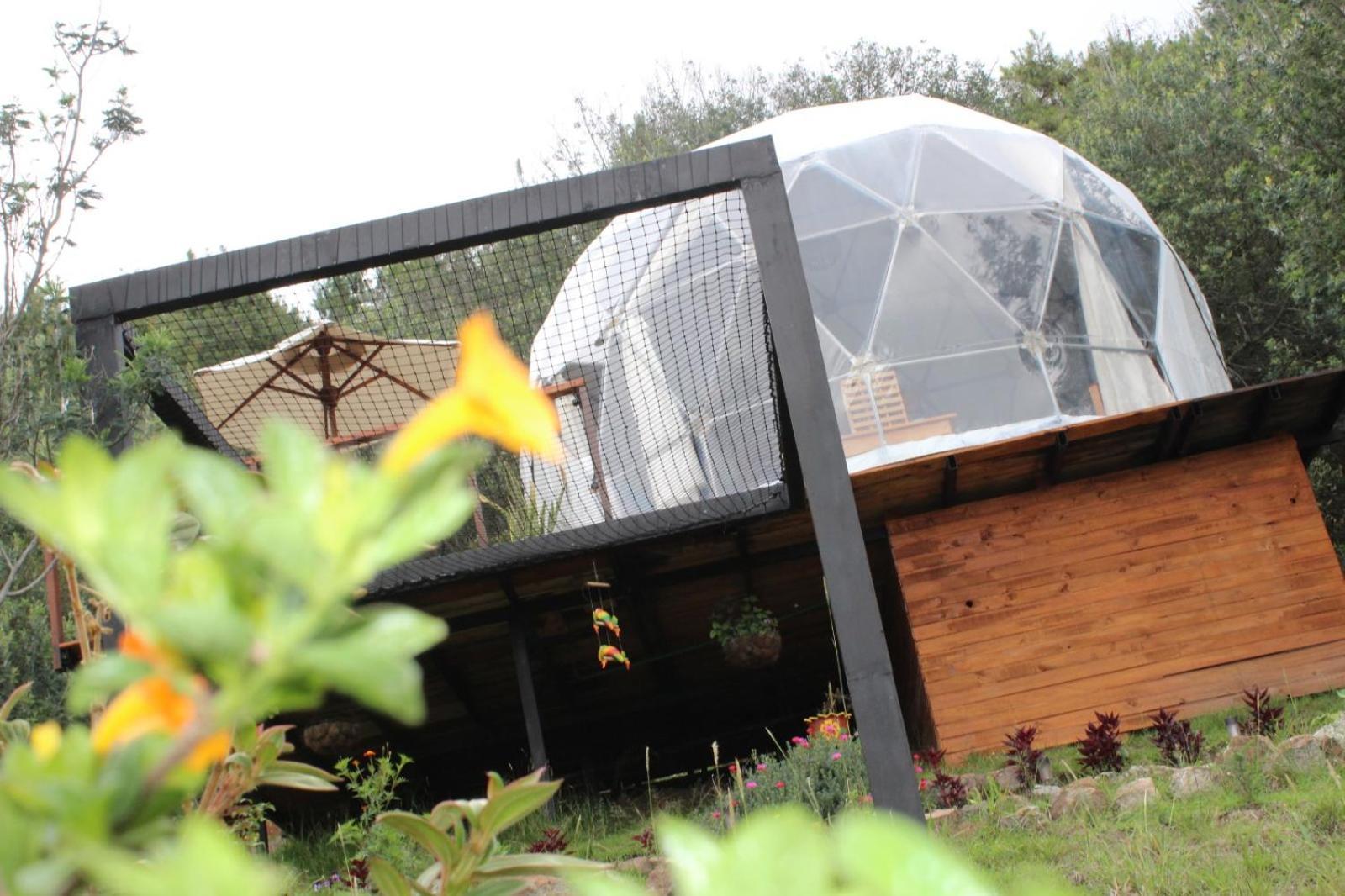 Glamping La Villa Guatavita Kültér fotó