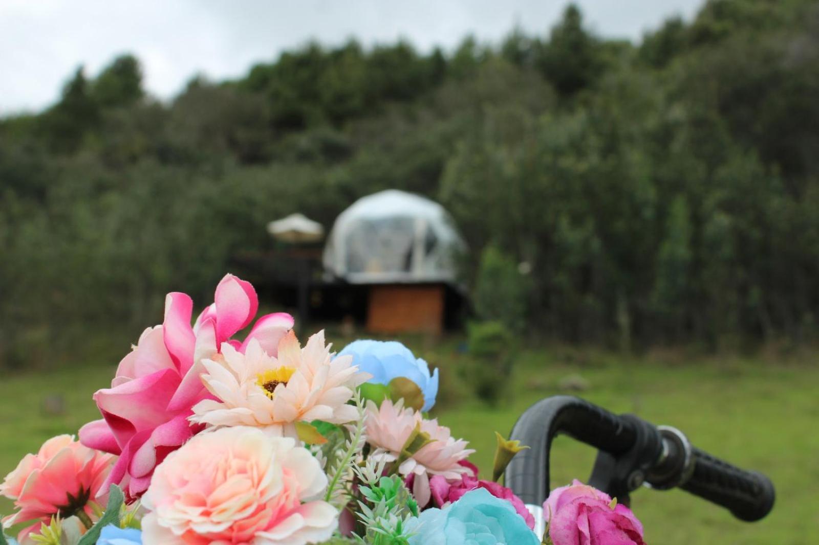 Glamping La Villa Guatavita Kültér fotó